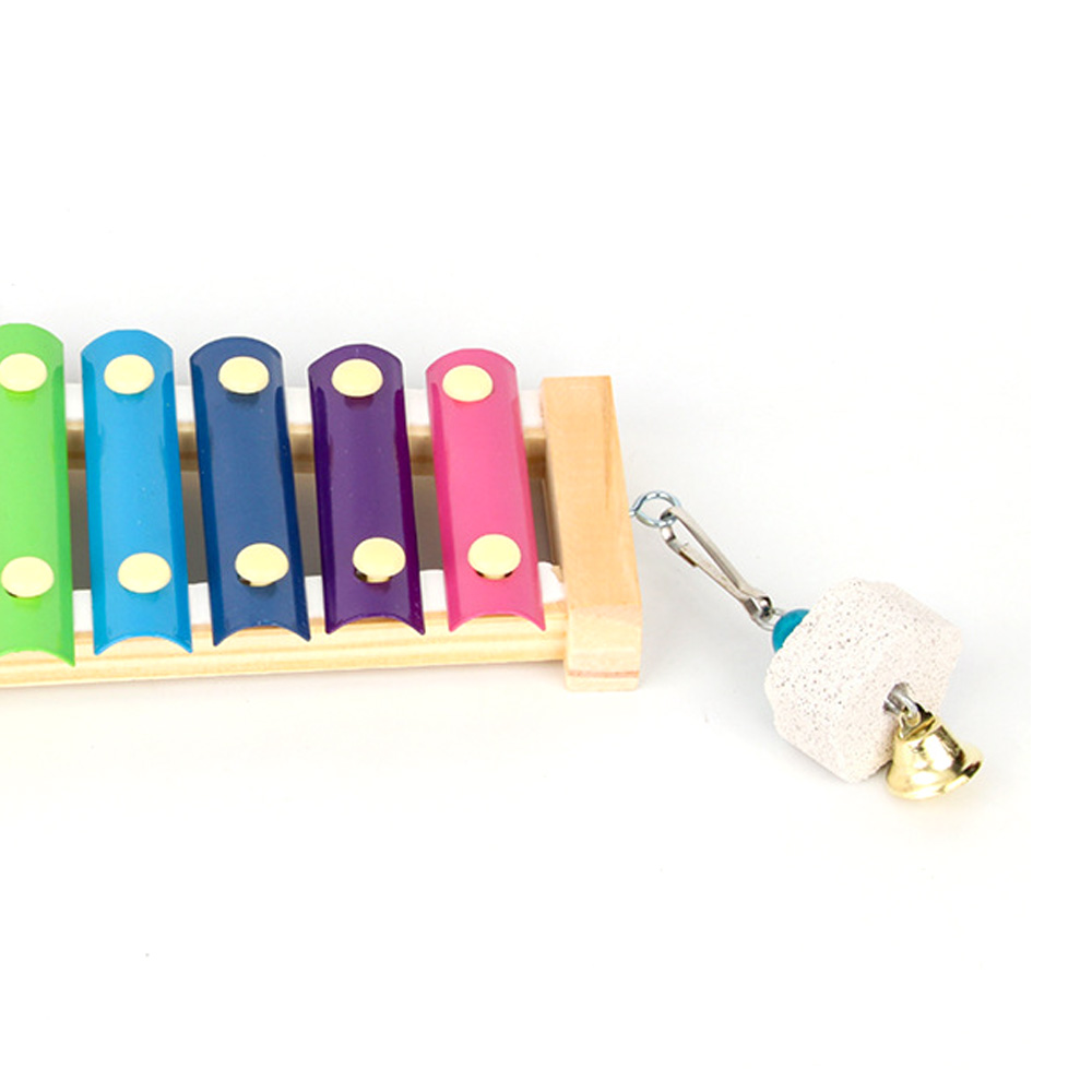 Księżyc z kurczakiem Ksylofon  – Musical Instrument Harmonium recenzja i cena