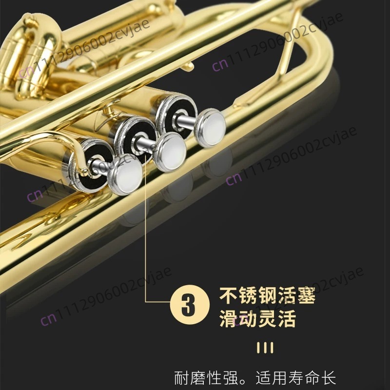 Odpowiedni trąbka basowa Jinba – Musical Instrument Band recenzja i cena