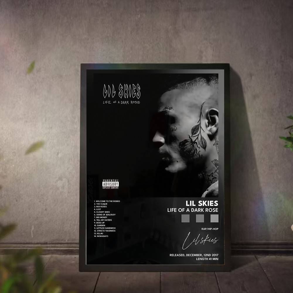 Plakat L-Lil S-Skies Album Muz – L Musical Instrument recenzja i cena